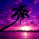 PREVENDITA Calendario dell'avvento Uabstyle 2025 Purple Passion
