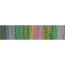 Alb Zauber Crazy Schoppel Wolle 2400 Liminosa
