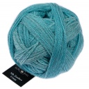 Alb Zauber Crazy Schoppel Wolle 2725 Poseidon