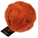 Alb Zauber Crazy Schoppel Wolle 2727 Pluto