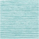 Rico Fashion Silk Blend DK 010 Menta